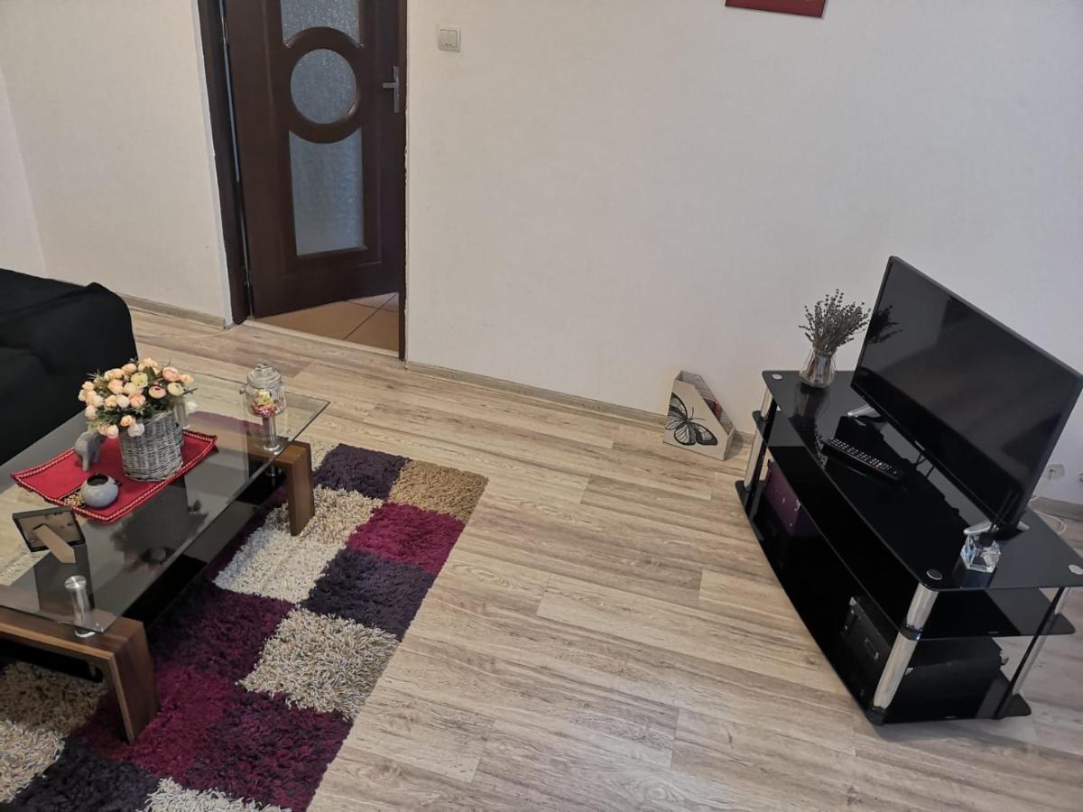 Deea Apartament Apartment Craiova Bagian luar foto